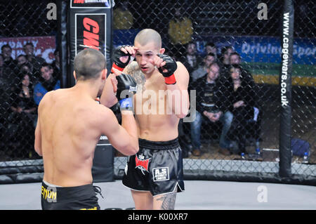 Deux cage MMA fighers dans l'anneau. Banque D'Images