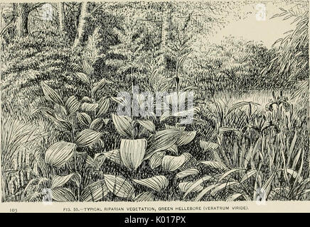 'Pelouses et jardins. Comment planter et embellir l'accueil lot, le plaisir rez-de-jardin' (1897) Banque D'Images