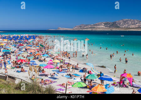 Baigneurs dans la mer turquoise, plage de La Pelosa Stintino Parc National d'Asinara, Province de Sassari Sardaigne Italie Europe Banque D'Images