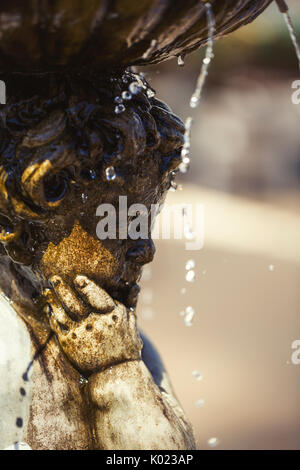 Fontaine à eau dans un jardin de fleurs d'été Banque D'Images