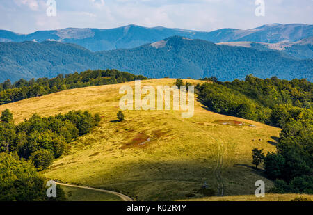 Weathered herbacé pré alpin près de la forêt de hêtres sur le haut d'une colline vue de dessus. belles montagnes des Carpates paysage sur le début de l'automne journée ensoleillée. Banque D'Images