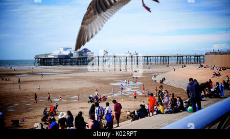 Seagull décollant sur une longue plage de Blackpool et jetée du Nord par une chaude journée ensoleillée en été Banque D'Images