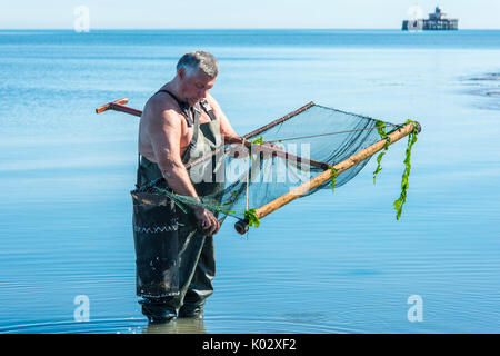 Le port de pêcheurs échassiers avec un filet pour la capture de crevettes et langoustines dans la mer à Herne Bay, Kent. Dans l'arrière-plan est la fin de l'ancienne jetée. Banque D'Images