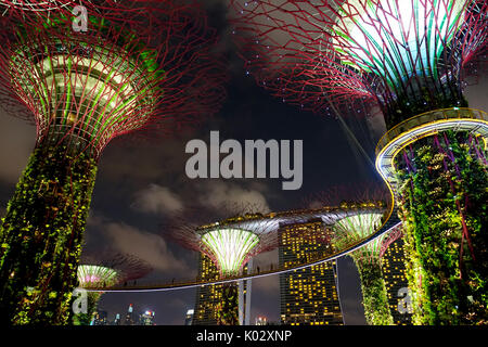 Gardens By The Bay, une visite à Singapour Banque D'Images