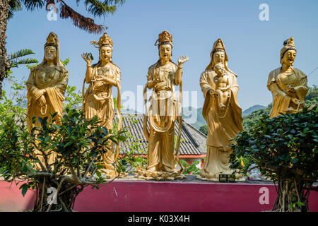 10 000 monastère temple du Bouddha à Shatin, Hong Kong Banque D'Images