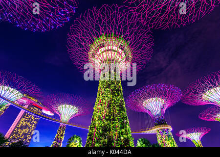 Singapour - 19 août 2017 , 9 : Super arbre dans jardin près de la baie, Singapour. Banque D'Images