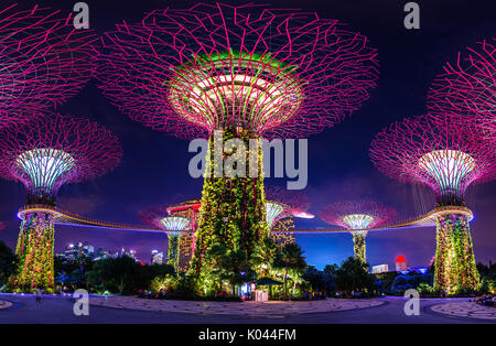 Singapour - 19 août 2017 , 10 : Super arbre dans jardin près de la baie, Singapour. Banque D'Images