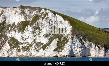 Falaise de craie blanche avec structure glissements historiques à l'ouest d'arish mell beach sur la côte jurassique du Dorset, uk Banque D'Images