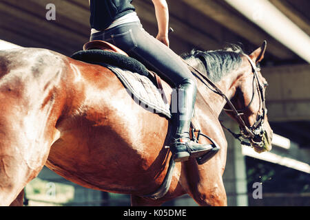 Photo de jeune jolie fille riding horse Banque D'Images