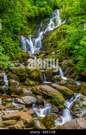 Torc Waterfall est une chute d'eau à la base de Torc Mountain, à environ 8,0 km de Killarney, dans le comté de Kerry, Irlande Banque D'Images