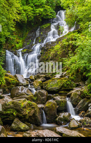 Torc Waterfall est une chute d'eau à la base de Torc Mountain, à environ 8,0 km de Killarney, dans le comté de Kerry, Irlande Banque D'Images