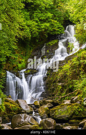 Torc Waterfall est une chute d'eau à la base de Torc Mountain, à environ 8,0 km de Killarney, dans le comté de Kerry, Irlande Banque D'Images