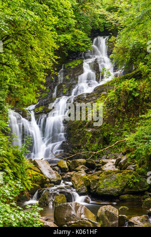 Torc Waterfall est une chute d'eau à la base de Torc Mountain, à environ 8,0 km de Killarney, dans le comté de Kerry, Irlande Banque D'Images