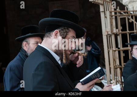 Ortxodox juif, membre du hassidisme prie avec ferveur au Mur des lamentations à Jérusalem, lieu saint du judaïsme. Banque D'Images