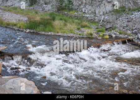 Le Rio Grande, Creede, Colorado Banque D'Images