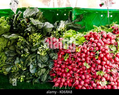 Union Square Greenmarket Lundi, pieux de kale et radis avec des prix, New York, NY, USA. Banque D'Images