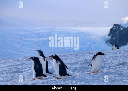 Lever du soleil dans l'Antarctique Banque D'Images