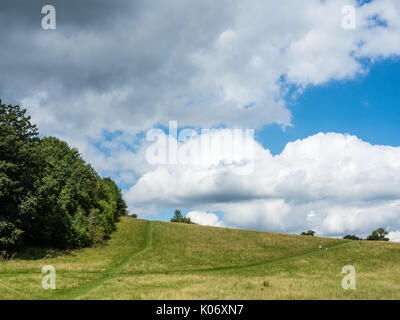 Bugs bas, Caversham, Reading, Berkshire, Angleterre Banque D'Images