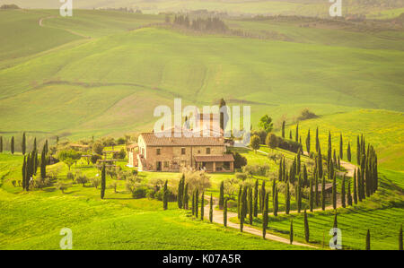 Podere Baccoleno, Asciano, Crete senesi, Toscane, Italie Banque D'Images