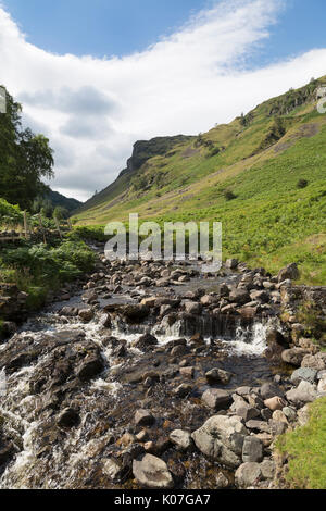 Le Shoulthwaite Gill, près de Crag Fer dans les collines entre Keswick et Thirlmere, Lake District, Cumbria, Angleterre Banque D'Images