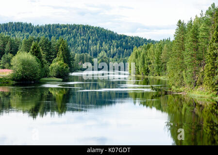 Rivière calme qui s'écoule doucement à travers des paysages forestiers. Rivière Emplacement en Norvège. Lagen Banque D'Images