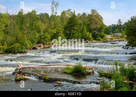 Sauble Falls, South Bruce Peninsula, Ontario, Canada Banque D'Images