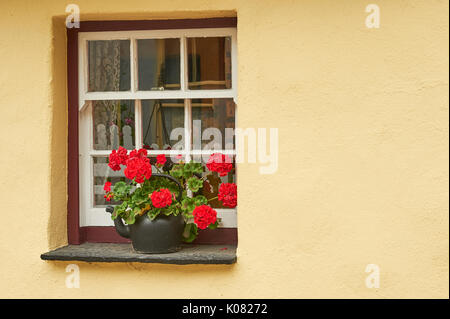 Résumé image montrant une fenêtre dans un mur Banque D'Images