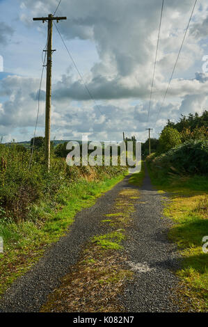 Un étroit chemin rural dans le comté de Kerry avec de l'herbe poussant le long du centre de la voie, avec des poteaux télégraphiques. Banque D'Images