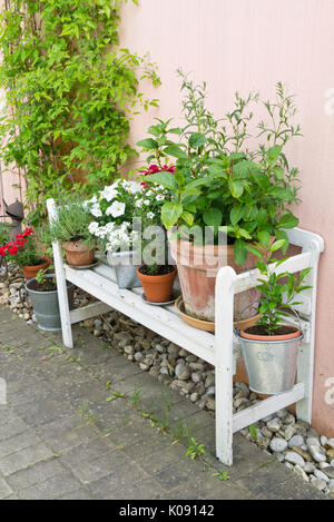 Banc de jardin avec pots de fleurs Banque D'Images