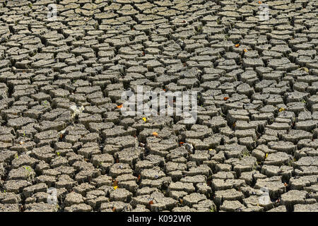 La boue fissuré sur lit séché du lac - Fran,ce. Banque D'Images