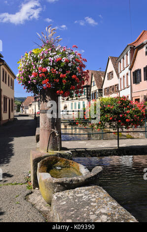 Fontaine à la Lauter, wissembourg, france Banque D'Images