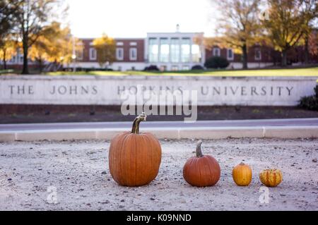Quatre citrouilles sont alignés sur la rue Charles du Nord, avec le signe de l'Université Johns Hopkins, 2015. La bibliothèque de Milton S. Eisenhower, et beaucoup d'arbres avec des arbres d'automne en arrière-plan, de l'entrée est de la University's Homewood campus de l'université de Baltimore, Maryland. Avec la permission de Eric Chen. Banque D'Images