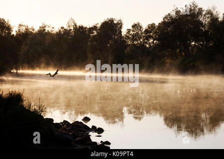 La brume s'élevant de la rivière Murchison tôt le matin, Murchison, dans l'ouest de l'Australie Banque D'Images