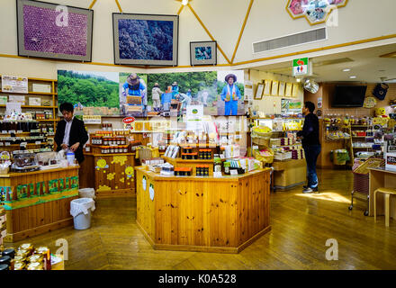 Akita, JAPON - 17 mars 2017. On visite un magasin de souvenirs à Akita, au Japon. Akita est une grande préfecture au côte de la mer du Japon dans la région de Tohoku. Banque D'Images