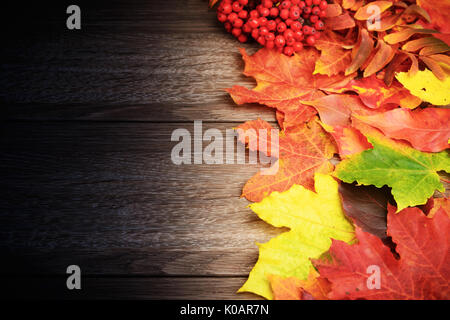 Les feuilles d'automne rouge jaune vert sur fond de table en bois foncé Banque D'Images