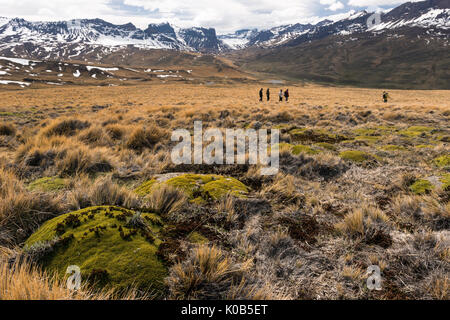 Les randonneurs explorer la sierra baguales en Patagonie Banque D'Images