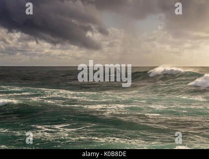 Petit stand up surf paddleboarder, long de corail, Plages du Nord, Sydney, NSW, Australie Banque D'Images