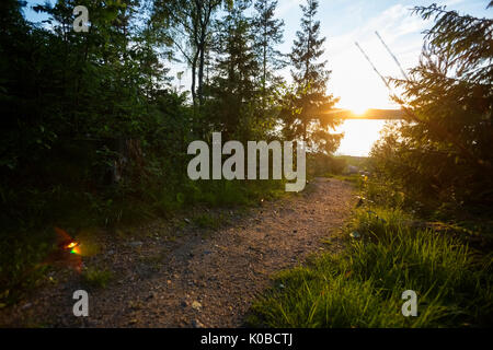 Sentier éclairé avec des bougies à réchaud en forêt Banque D'Images