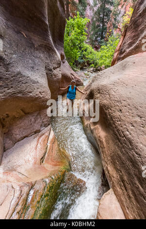 Woman hiking in Kanarra Creek Canyon, Kanarraville, Fer à Repasser County, Utah, USA. Banque D'Images