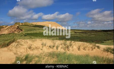 Rubjerg Knude unique de dunes, à la côte ouest du Danemark. Banque D'Images