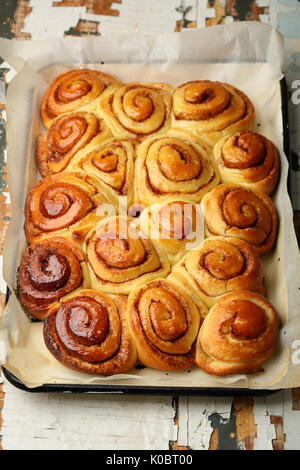 Brioches à la cannelle miel sur la lèchefrite, gros plan de l'alimentation Banque D'Images