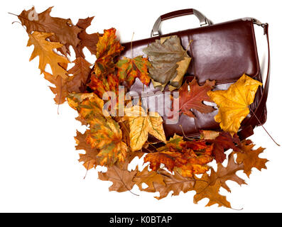 Porte-documents en cuir brun et multicolore de l'automne les feuilles sèches. Isolé sur fond blanc. Banque D'Images