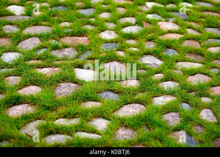 L'herbe pousse verte à travers la chaussée de pierre. Banque D'Images