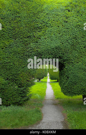 Un chemin à travers l'if à St.Mary's churchyard, Painswick, Angleterre Banque D'Images