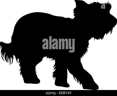 Chien Yorkshire Terrier silhouette sur un fond blanc Illustration de Vecteur