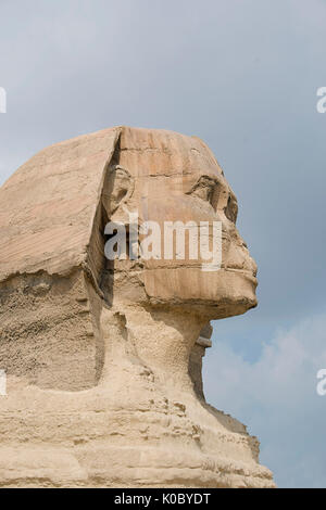 Le sphinx garde les pyramides à Gizeh le plateu au Caire, Égypte.