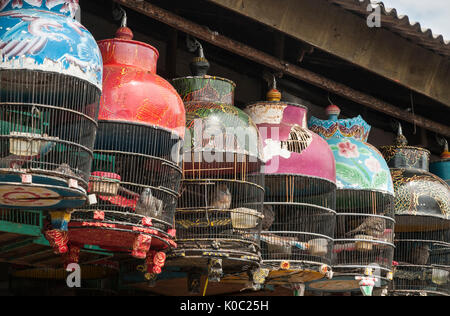 Les cages en bois plein d'oiseaux sur le marché d'animaux et d'oiseaux à Denpasar, dans le Sud de Bali, Indonésie. Banque D'Images