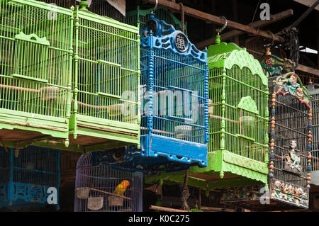 Les cages en bois plein d'oiseaux sur le marché d'animaux et d'oiseaux à Denpasar, dans le Sud de Bali, Indonésie. Banque D'Images