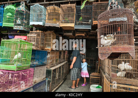 Les clients d'admirer les oiseaux dans le marché d'animaux et d'oiseaux à Denpasar, dans le Sud de Bali, Indonésie. Banque D'Images