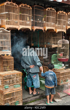 Les clients d'admirer les oiseaux dans le marché d'animaux et d'oiseaux à Denpasar, dans le Sud de Bali, Indonésie. Banque D'Images